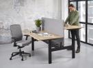Zit/sta duo Premium elektrisch 2 x (160x80 cm)