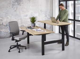 Zit/sta duo Business elektrisch 2 x (140x80 cm) 