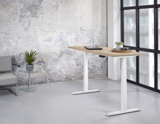Zit/sta Premium elektrisch 140x80 cm