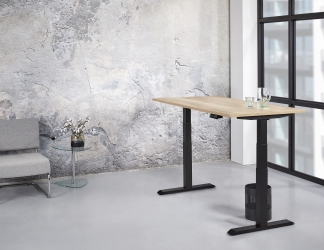 Zit/sta Premium elektrisch 140x80 cm