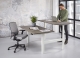 Zit/sta duo Business elektrisch 2 x (140x80 cm) 